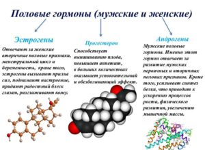 Половые гормоны