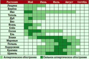 Благоприятные и неблагоприятные растения для аллергиков