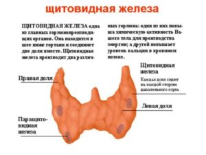 Депрессия, щитовидная железа и гормоны