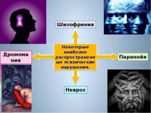 Шизофрения или паранойя?