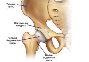 стук косте в тазу