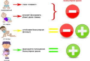 Исследование характера зрения при двух открытых глазах (бинокулометрия)