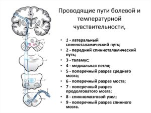 Нет чувствительности и возбуждения.