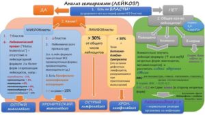 Обследование и анализы при лейкемии