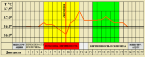 Попытки зачать – составления графика фертильности