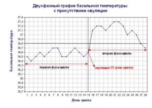 Температура 6-й день не прикращяется