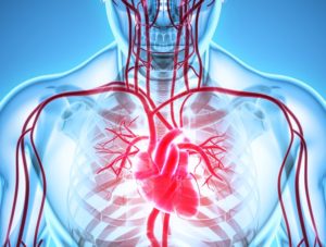 Ишемическая (коронарная) болезнь сердца