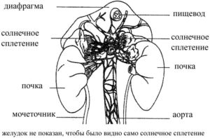 Напряжение в солнечном сплетении