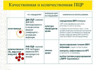 ПЦР в диагностике ВИЧ-инфекции