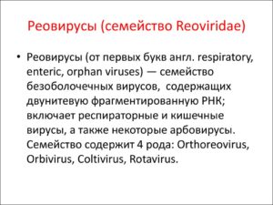 Семейство реовирусов (Reoviridae)