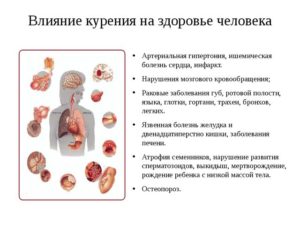 Воздействие курения на здоровье костей