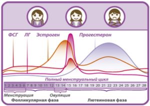 Сезонные перепады настроения и гормонов