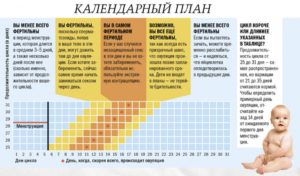 Возможно ли спланировать беременность по времени?