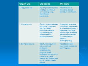 Функции  наружного, среднего, внутреннего уха