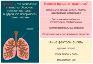 Острый трахеит