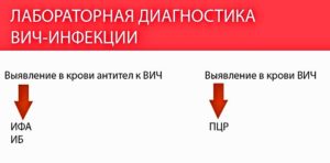 ПЦР в диагностике ВИЧ-инфекции