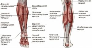 уплотнение на икроножной мышце или кости