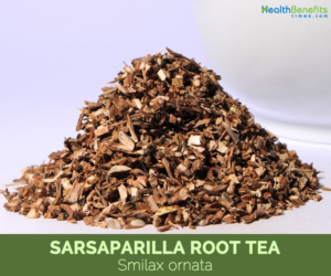 Sarsaparilla Сарсапарилла (корневище растения Smilax officinalis)