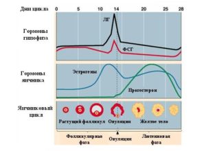 Сезонные перепады настроения и гормонов