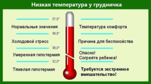 продолжительная температура у 6 месячного ребенка