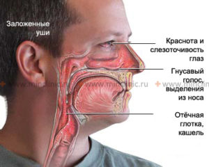 болит горло, заложено ухо