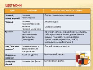 Темная моча: причины