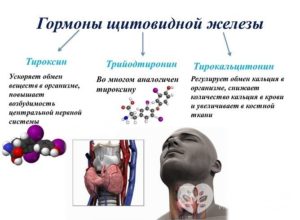 Депрессия, щитовидная железа и гормоны