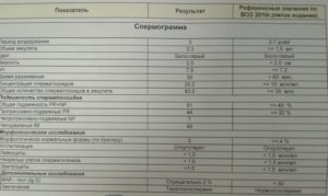 Результат спермограми