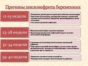 Осложнения беременности в III триместре: Гестационный пиелонефрит