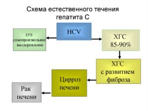 Контролируем течение гепатита С