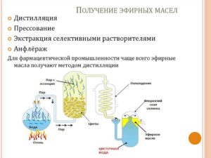 Помощь эфирных масел при высокой температуре