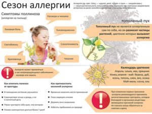 Пыльцевая аллергия. Профилактика и лечение. Как выжить во время сезона весенней аллергии?