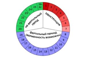 Попытки зачать – составления графика фертильности