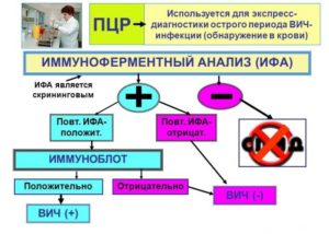 ПЦР в диагностике ВИЧ-инфекции