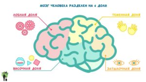 Тренируйте свой мозг с помощью упражнений