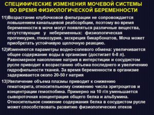 Беременность: Мочевыделительная система