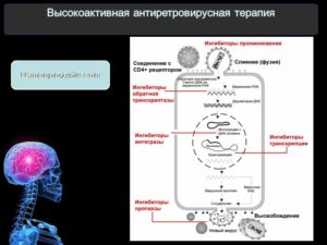 Высокоактивная антиретровирусная терапия (ВААРТ или ВАРТ) (продолжение...)