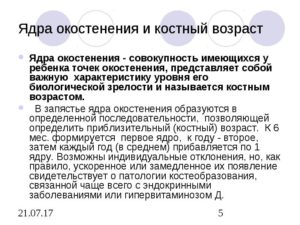 ядра окостенения