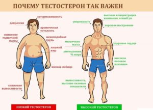 Низкий уровень тестостерона: как он дает о себе знать?