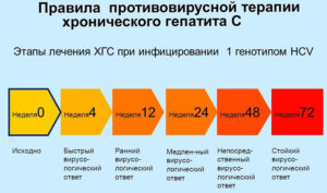 Следует ли применять противовирусную терапию при хроническом гепатите В?