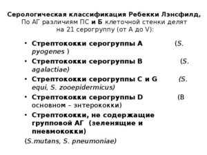 Стрептококки серогруппы В, С, D