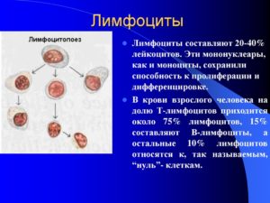 Анализ крови (широкоцитоплазменные лимфоциты))