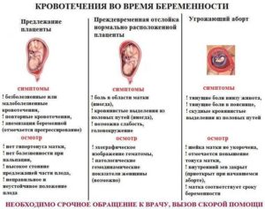 Кровотечения во время беременности