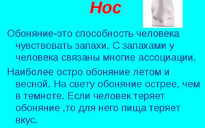 Феноменальные возможности обоняния человека