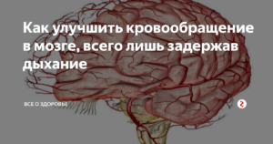 Как улучшить кровообращение мозга?