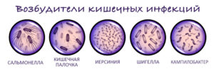 Бактериальные кишечные инфекции