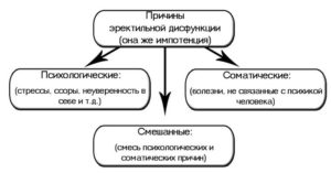 Импотенция (эректильная дисфункция)