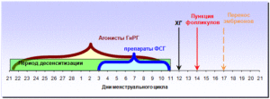 Длинный протокол ЭКО с 17 ДЦ?