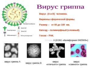 Протокол детального пиросеквенирования М2 вируса гриппа А(H1N1) для тестирования восприимчивости вируса гриппа А(H1N1) к антивирусным препаратам