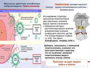 Протокол детального пиросеквенирования М2 вируса гриппа А(H1N1) для тестирования восприимчивости вируса гриппа А(H1N1) к антивирусным препаратам